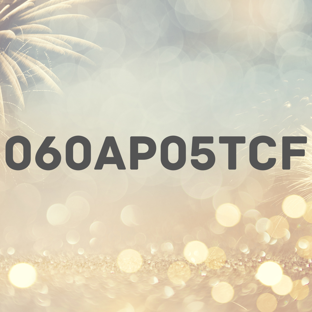 6" F- Assorted Time Mix Shells